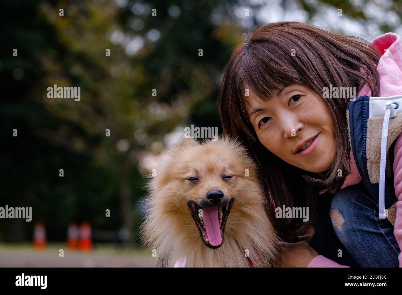 Una ragazza e il suo cane Foto Stock