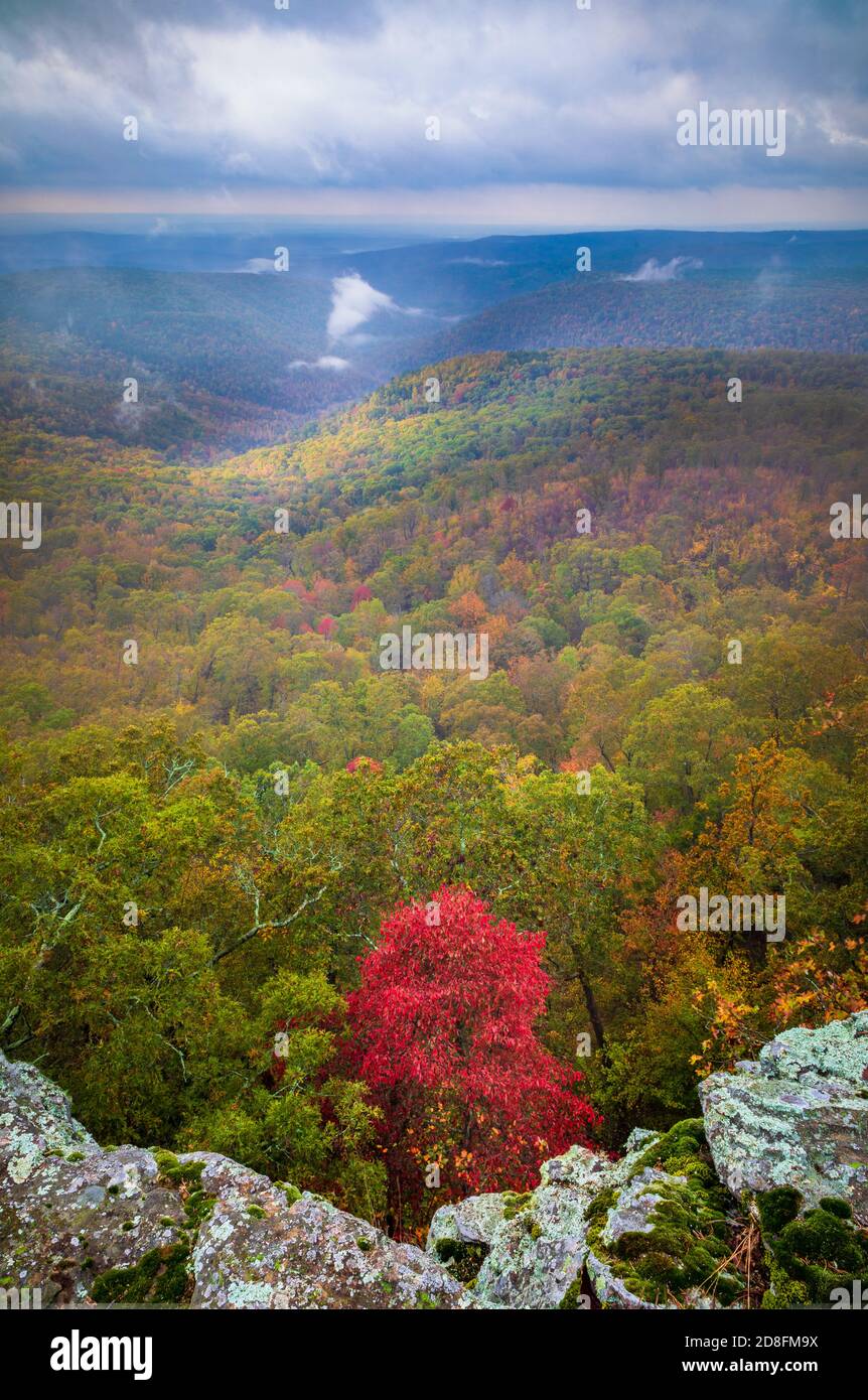 Area ricreativa di White Rock Mountain nella Ozark National Forest in Arkansas. Foto Stock