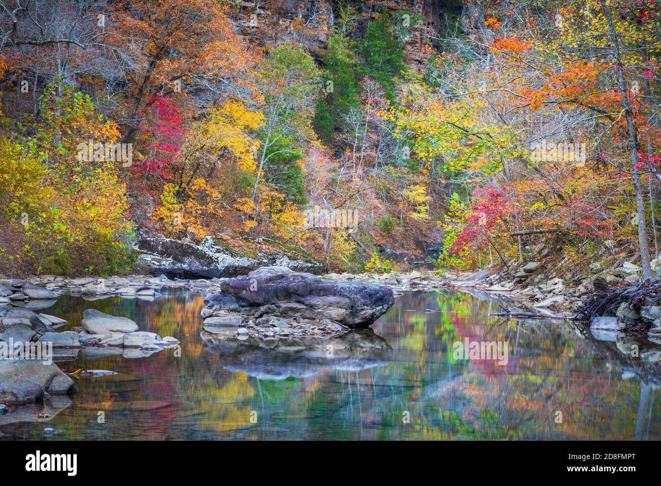 Massi e colore autunnale lungo Falling Water Creek nell'area della foresta nazionale di Ozark dell'Arkansas. Foto Stock
