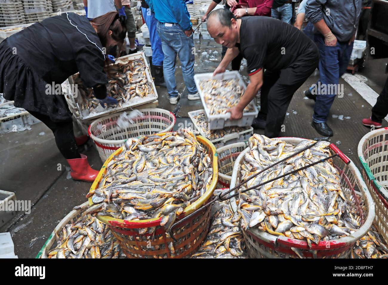 I pescatori hanno messo il pesce appena raccolto in cestini nella città di Zhoushan, nella provincia di Zhejiang della Cina orientale, il 20 settembre 2020. Foto Stock