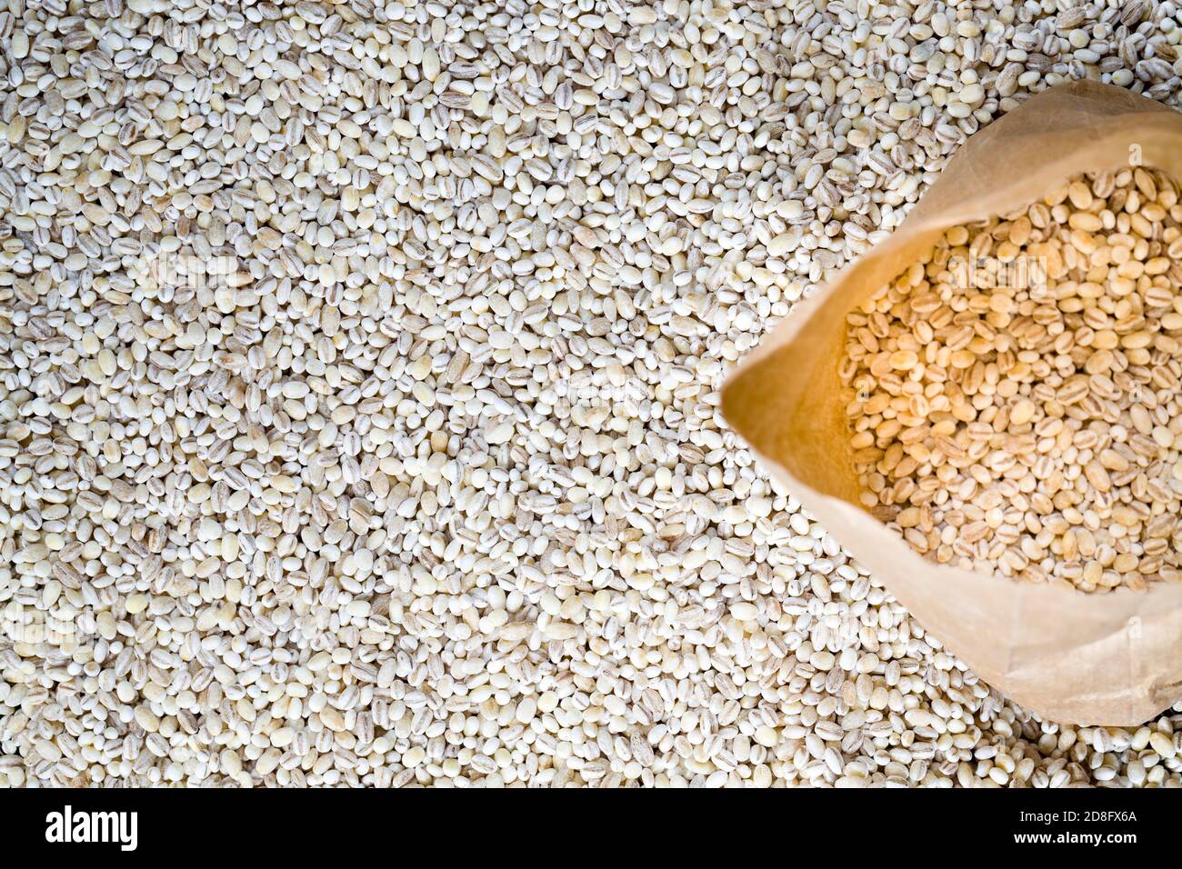 grano grezzo solido di orzo della perla Foto Stock