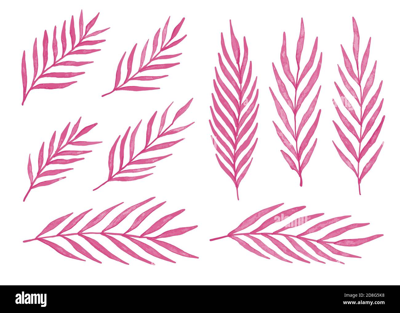 Foglie di acquerello rosa. Set di 9 foglie di palma acquerellate. Illustrazione vettoriale isolata su sfondo bianco. Illustrazione Vettoriale