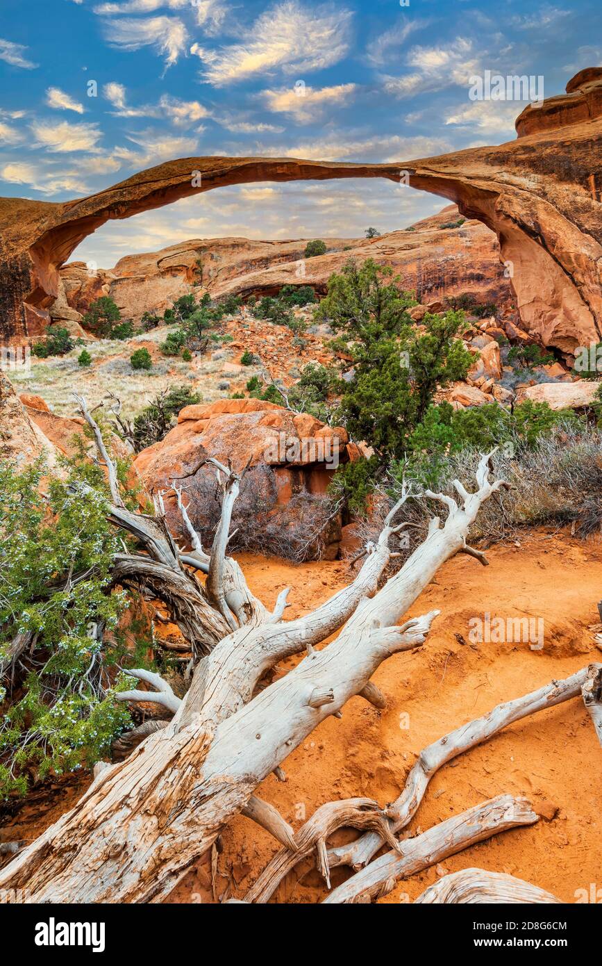 Landscape Arch, Arches National Park, Utah, Stati Uniti d'America Foto Stock