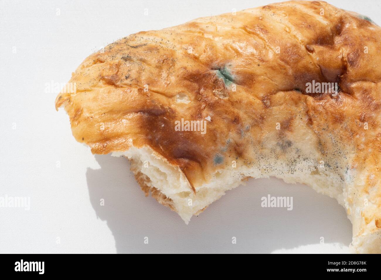 Closeup di un pezzo di pane guastato con muffa su uno sfondo bianco, copia spazio. Il concetto di cibo viziato Foto Stock