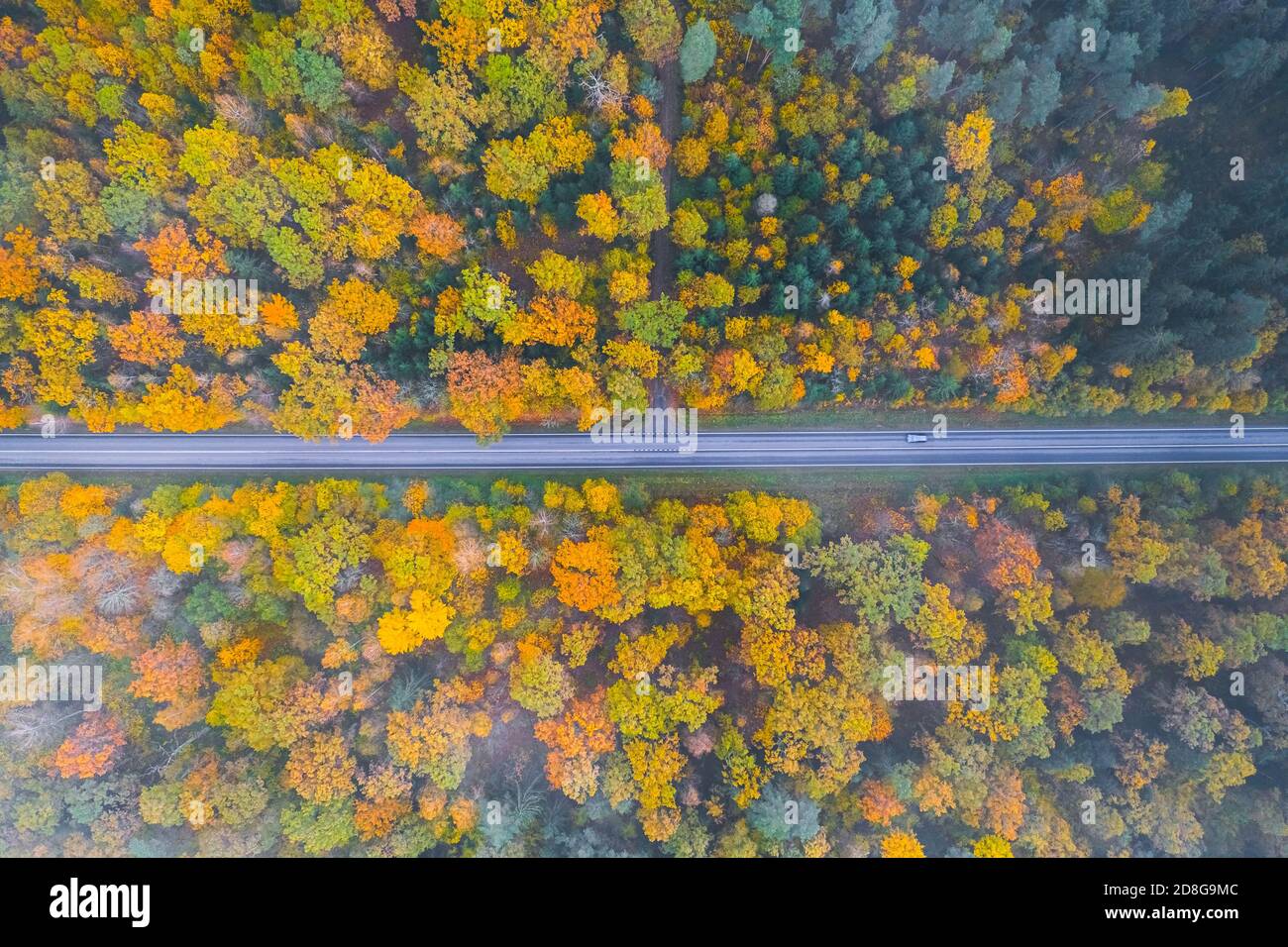 Vista aerea della strada che passa la foresta con un auto di passaggio Foto Stock