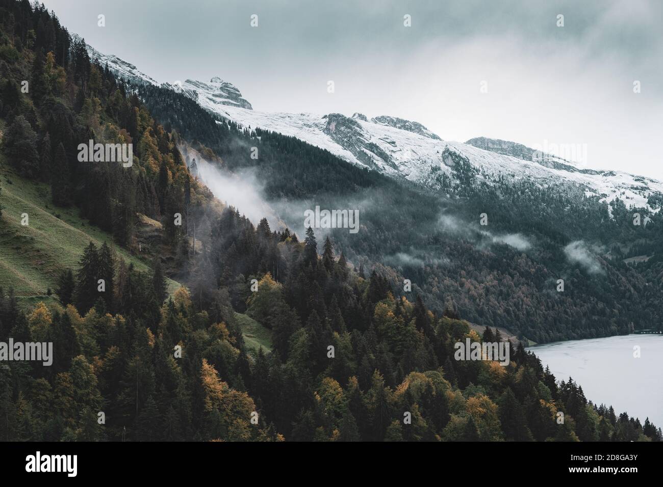 Vista maestosa di un pendio di montagna densamente boschivo in un nuvole basse Foto Stock