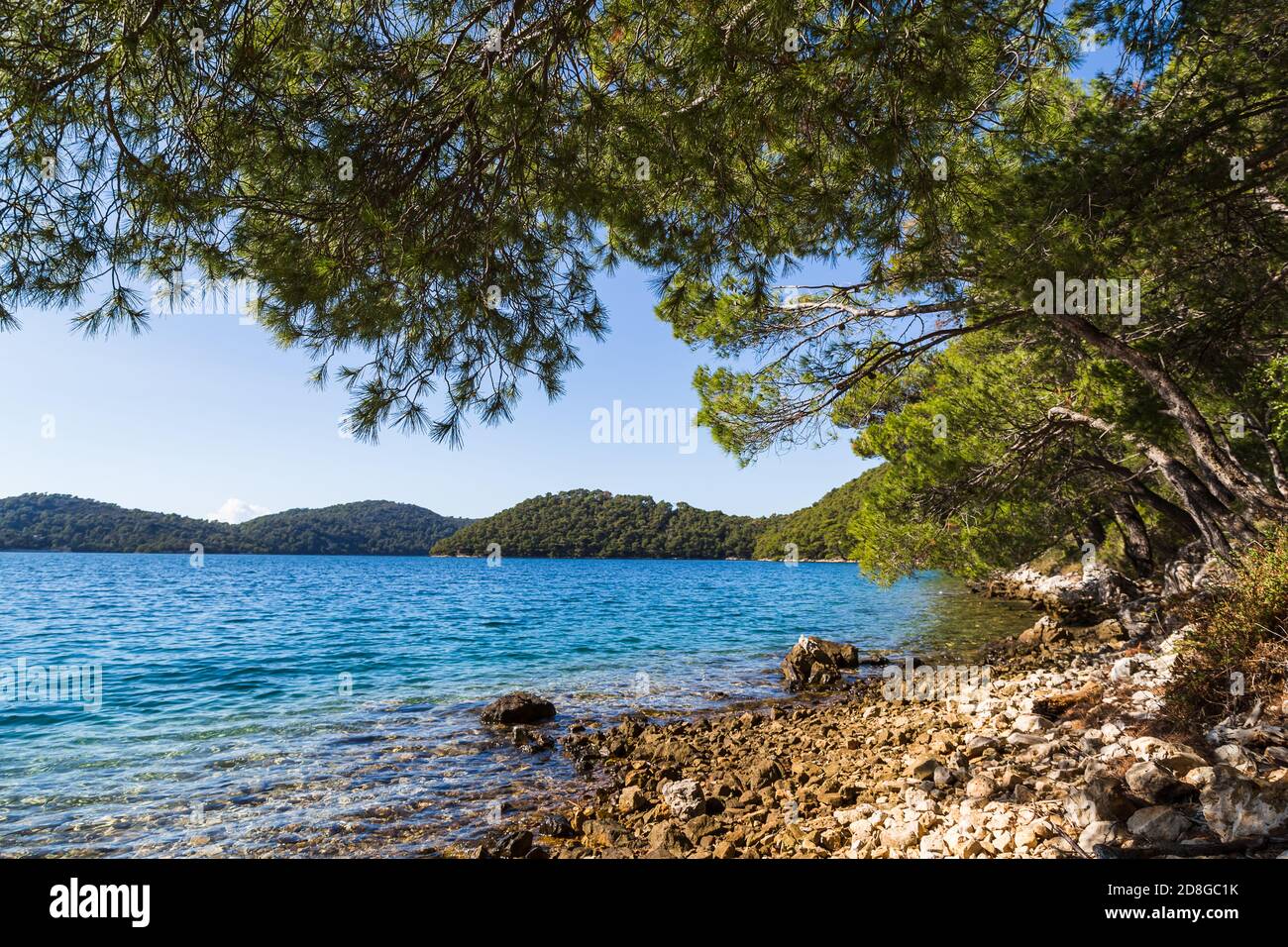 Le acque si affacciano nel Parco Nazionale di Mljet e mostrano la tipica costa croata composta da rocce, acque turchesi e pini a strapiombo. Foto Stock