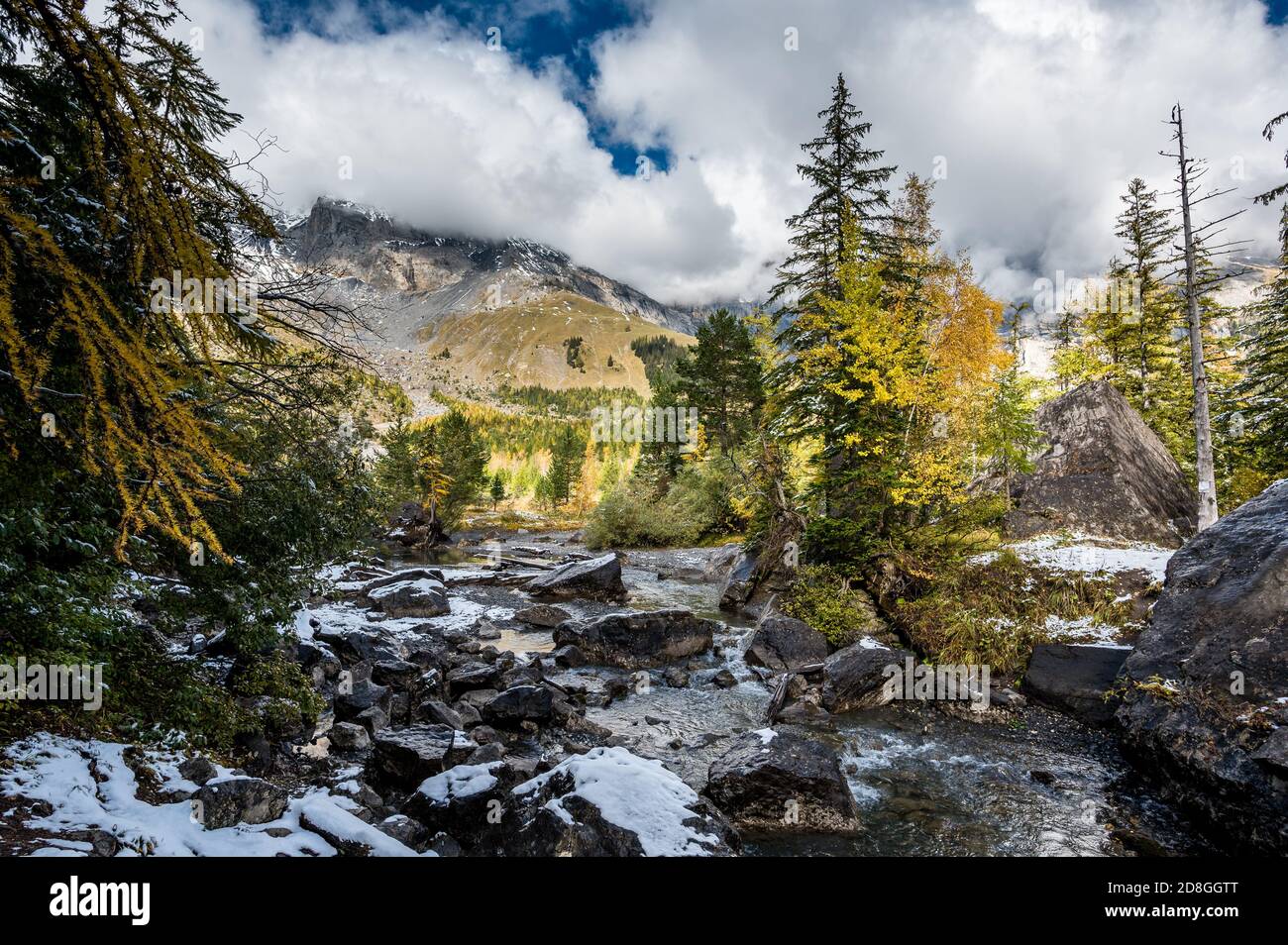 Incontaminato torrente di montagna a Derborence in autunno in Vallese Foto Stock