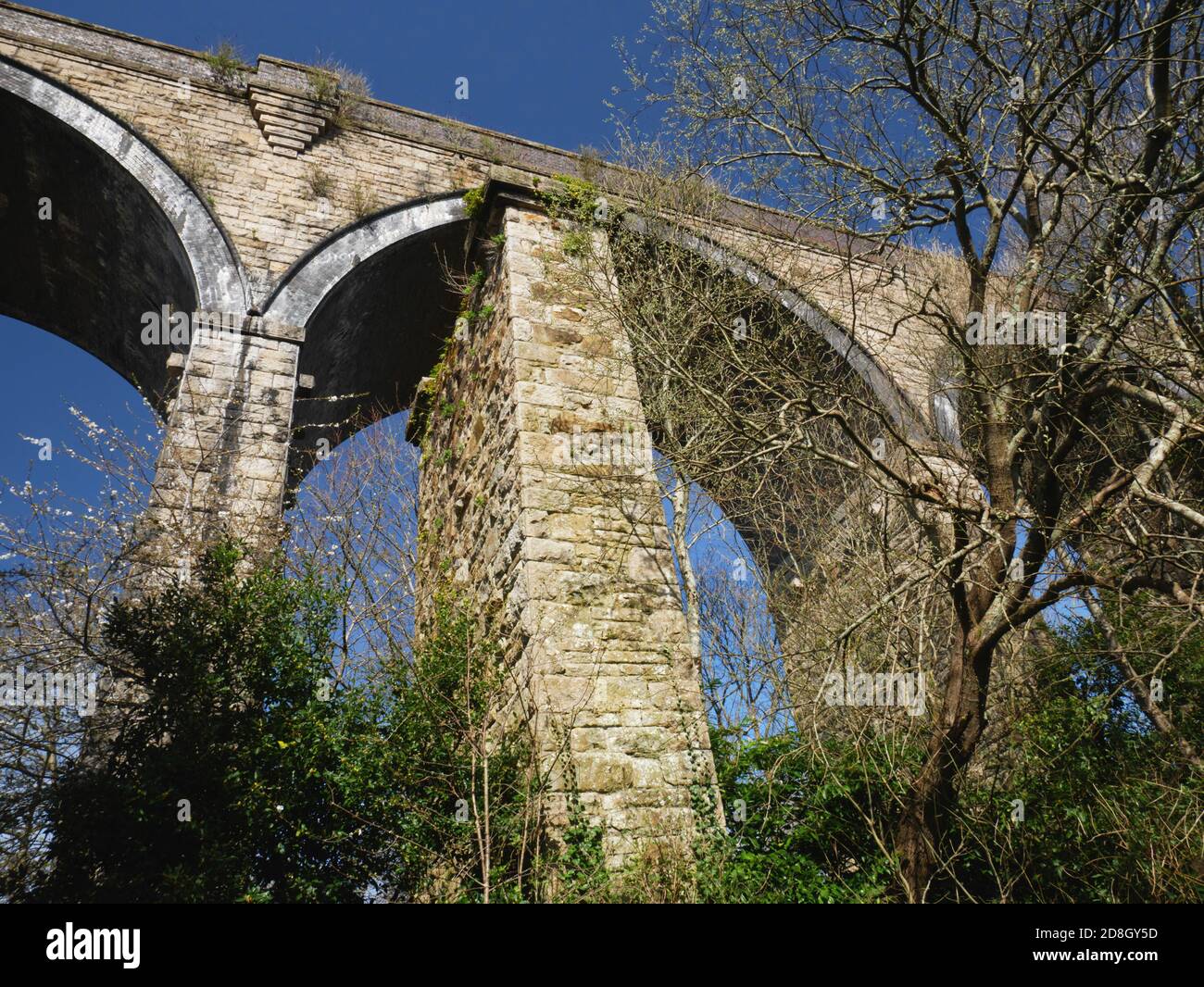 Il viadotto Carvedras sul fiume Kenwyn, Truro. Foto Stock
