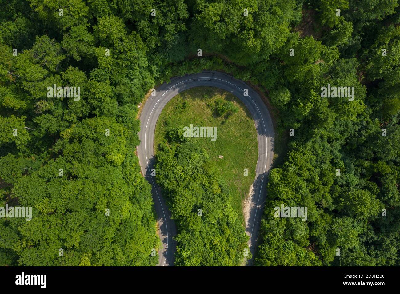 Visegrád, Ungheria - Vista aerea della strada asfaltata curva che attraversa la foresta Foto Stock