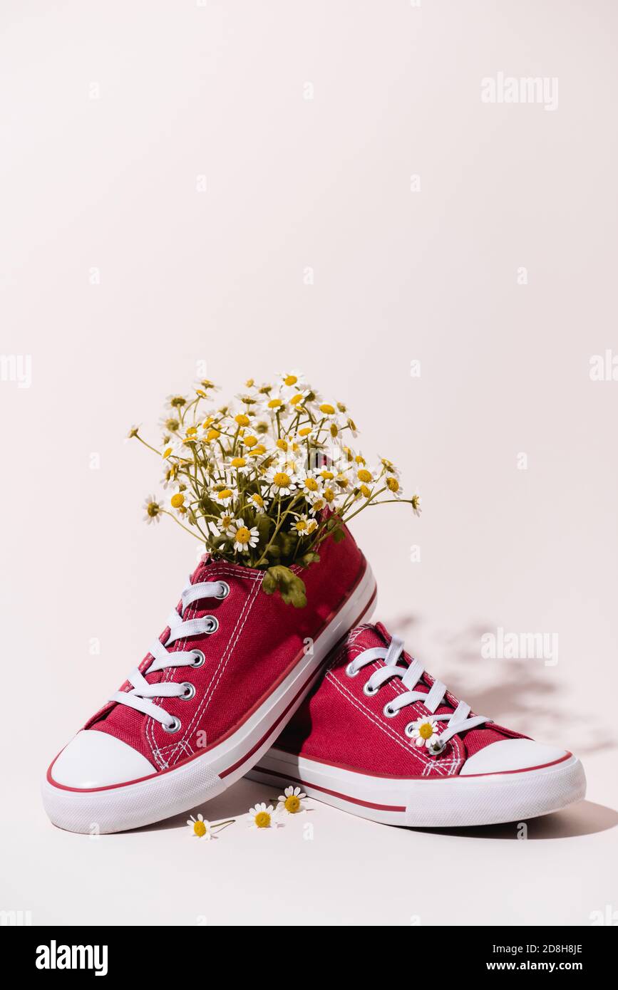 sneaker casual rosse con camomilla su sfondo bianco Foto Stock