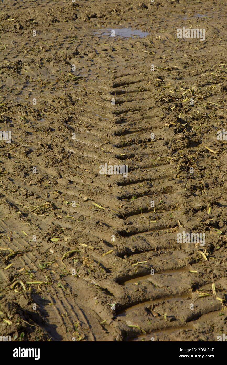 cingolo pneumatico trattore in terreno argilloso bagnato davanti a. un puddle Foto Stock