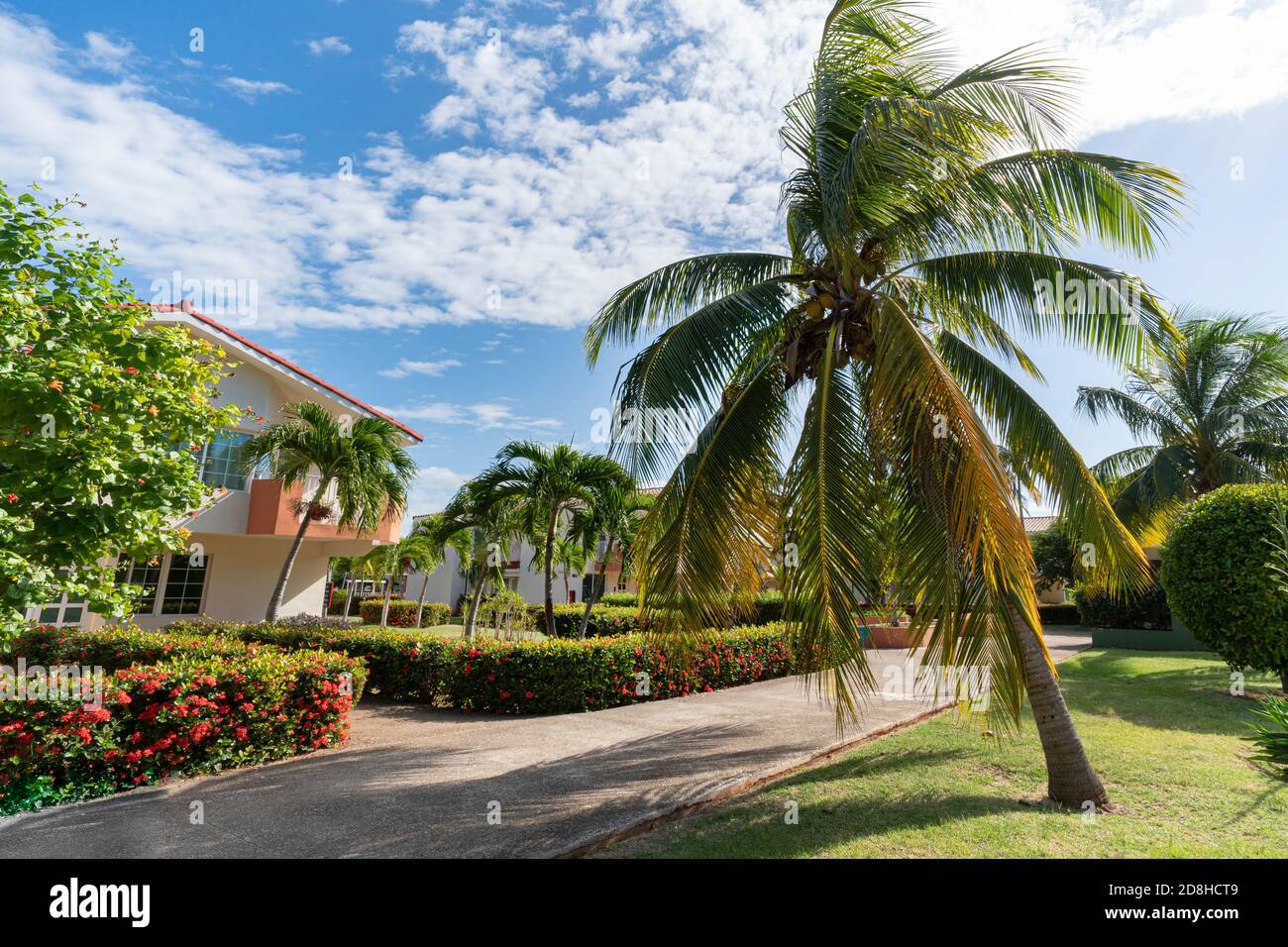 splendido design paesaggistico. Le palme crescono tra grandi dimore in climi tropicali. Foto Stock