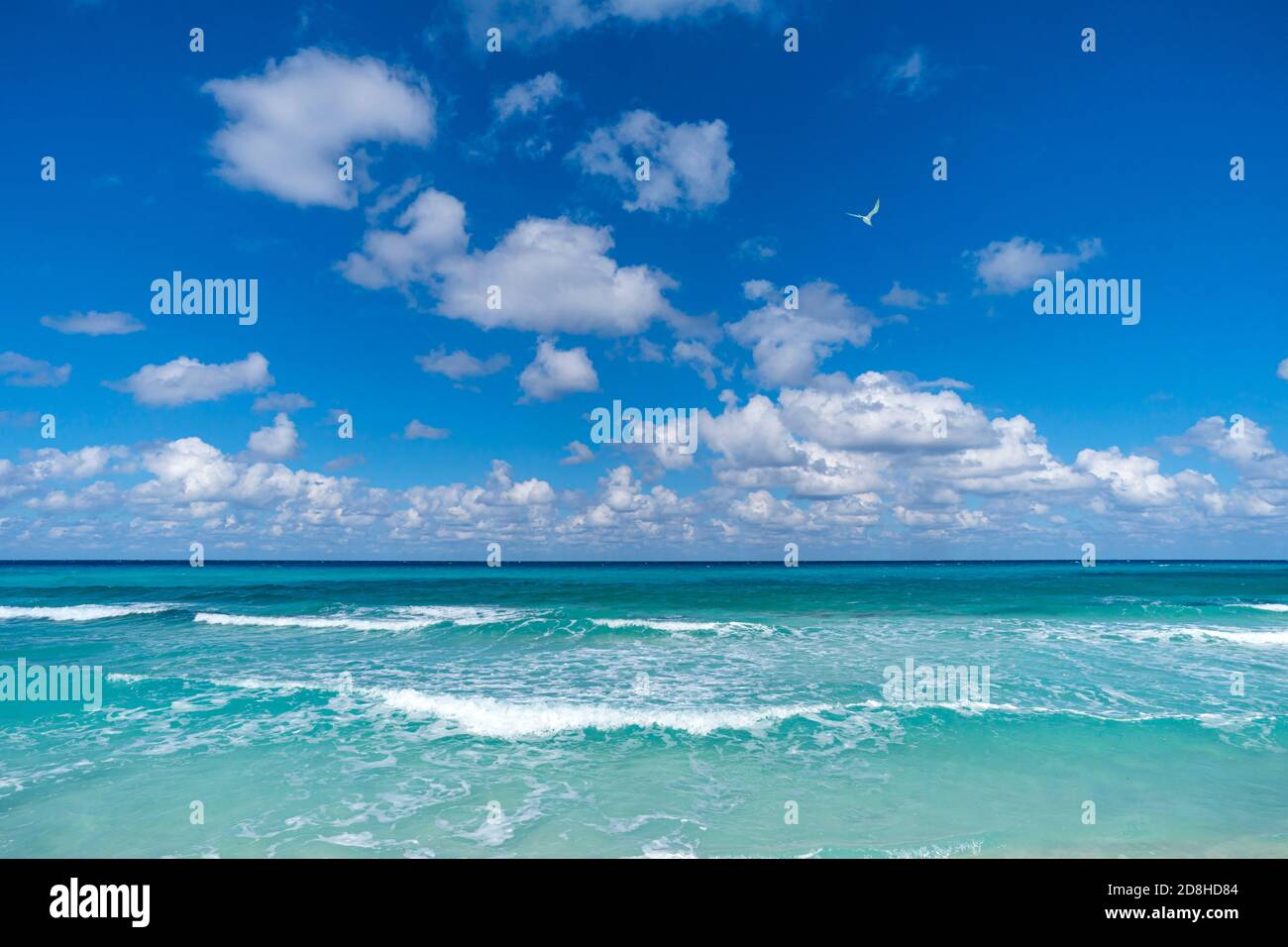 Splendido paesaggio tropicale con oceano turchese. La linea dell'orizzonte sullo sfondo. Il mare azzurro e il cielo blu senza fine con le nuvole bianche si fondono sul Foto Stock