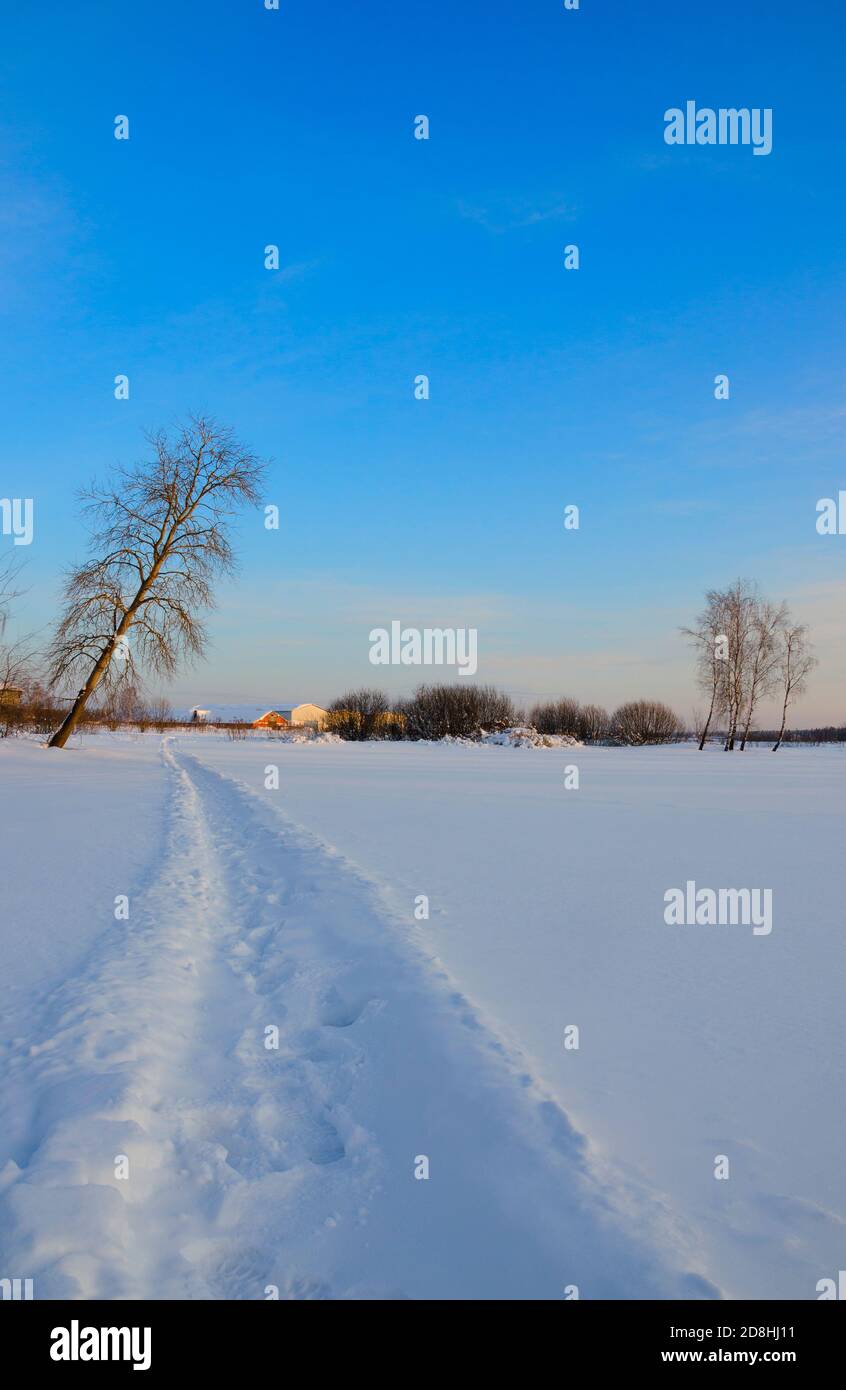 Scenario invernale soleggiato con sentiero nella neve profonda Foto Stock