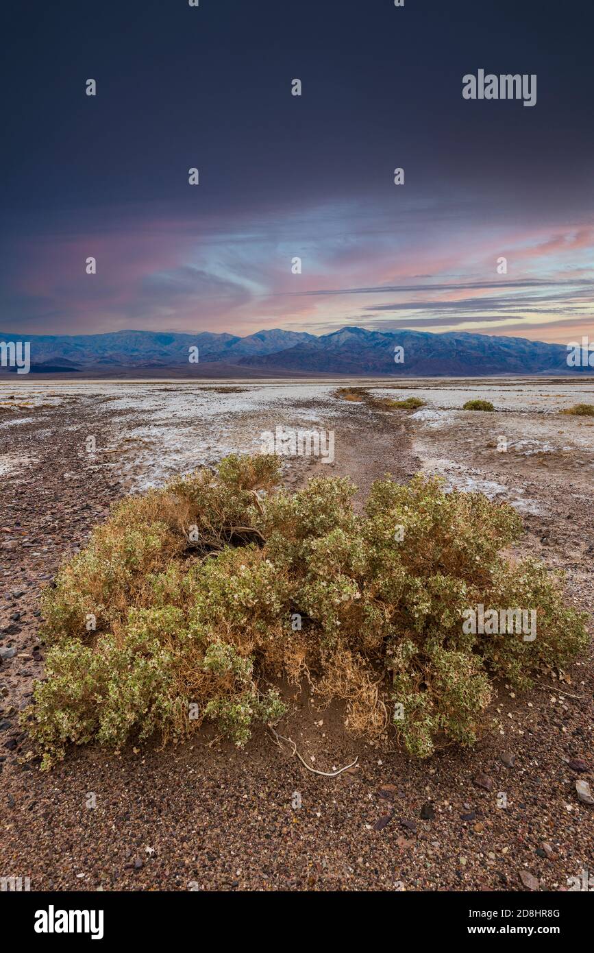 Paesaggio panoramico al tramonto vicino a Furnace Creek, Death Valley National Park, California, USA Foto Stock