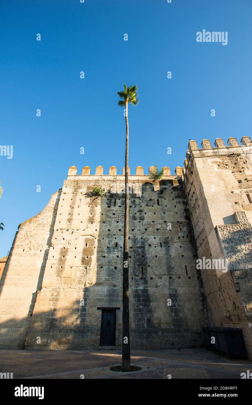 La Alcázar di Jerez de la Frontera Foto Stock