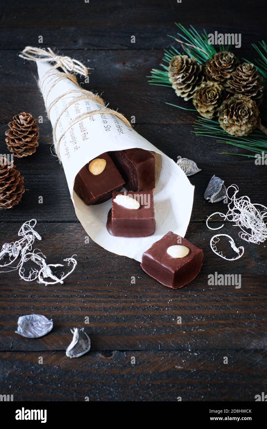 cubetti di pan di zenzero con glassa di cioccolato in un sacchetto di carta, decorato con ramo di pino, e un alce taglierina del biscotto Foto Stock