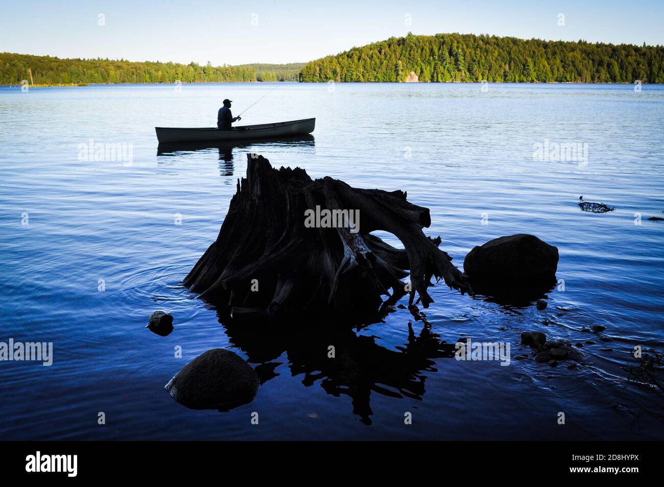 Canoa nell'Algonquin Provincial PARK dell'Ontario, ONTARIO, CANADA. Foto Stock