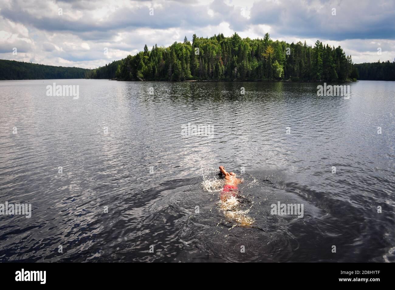 Nuoto in canoa nel PARCO provinciale Algonquin dell'Ontario, ONTARIO, CANADA. Foto Stock