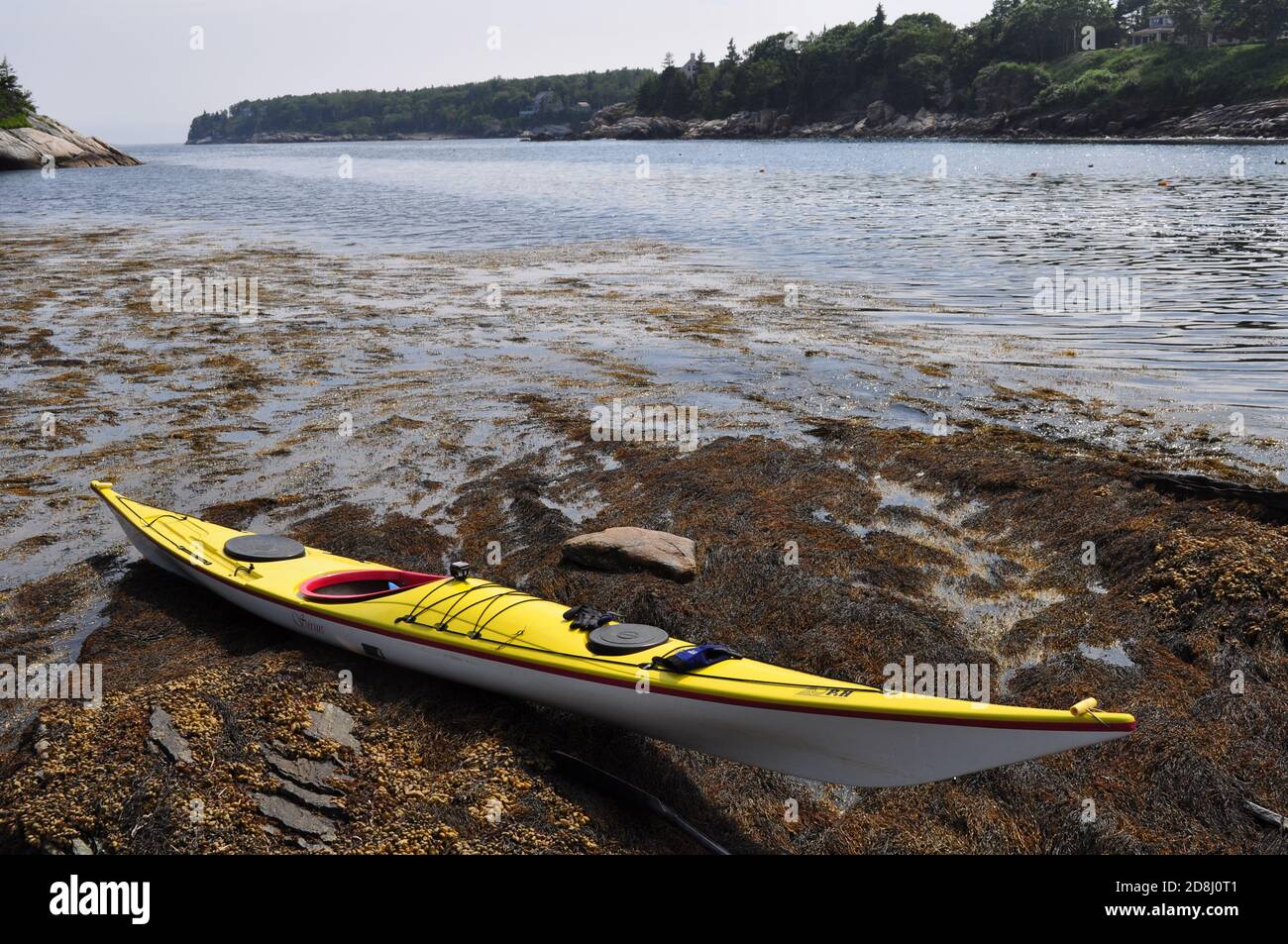 Kayak sul fiume Damariscotta, Damariscott, Lincoln County, Maine, New England, USA. Foto Stock