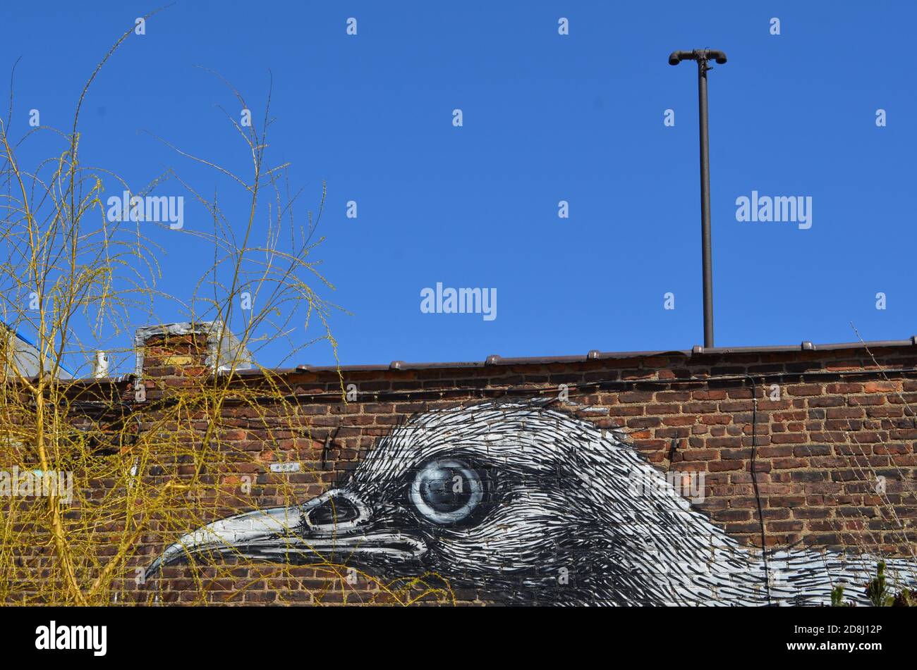 Murale di uccelli su un muro di mattoni a Brooklyn, NY, Stati Uniti. Foto Stock