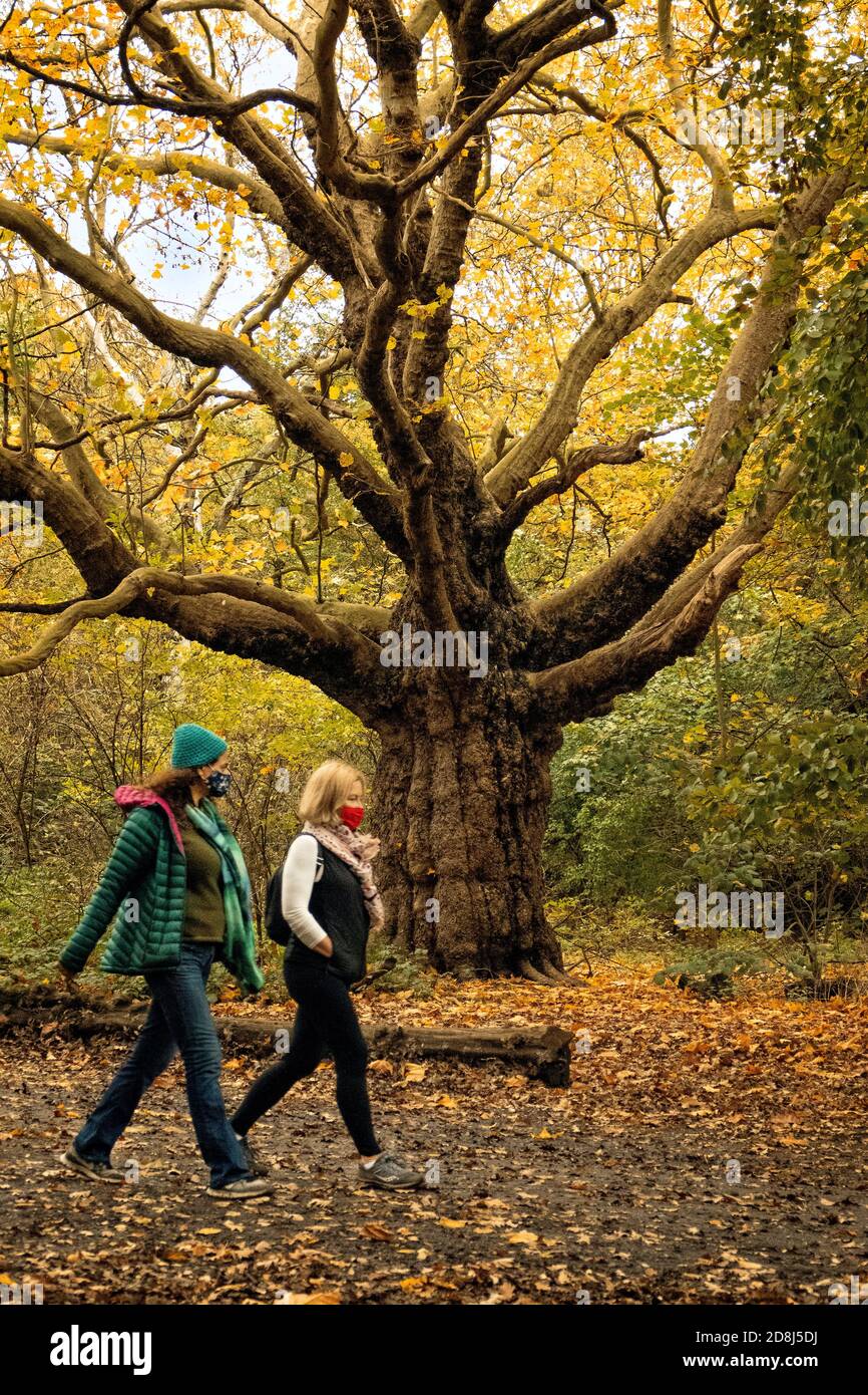 Le persone che godono di Hamstead Heath mentre Londra in blocco Tier 3 a causa di Corona Virus. Foto Stock