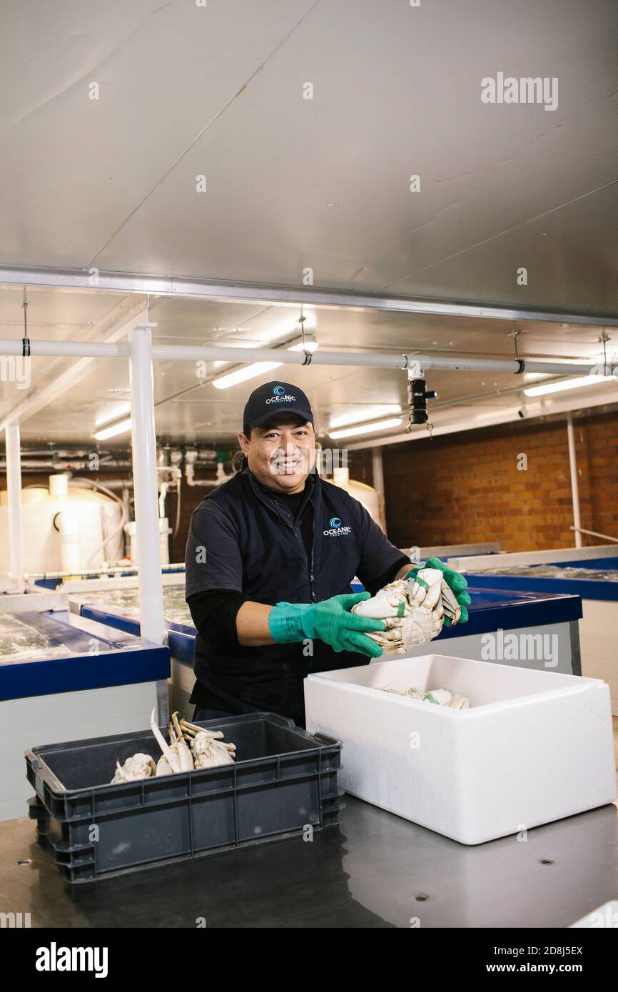 Sydney, Australia. 30 giugno 2020. Un uomo detiene un granchio di cristallo presso la società Oceanic Trading in Australia Occidentale, Australia, 30 giugno 2020. Il granchio di cristallo, una delicatezza di pesce prodotta solo in acque profonde al largo della costa occidentale dell'Australia (WA), sarà presentato a più buongustai in occasione del China International Import Expo (CIIE) di quest'anno a Shanghai. PER ANDARE CON Intervista: Australian Seafood Company Eyes Market Opportunity attraverso CIIE Credit: Annelize Barron/Xinhua/Alamy Live News Foto Stock