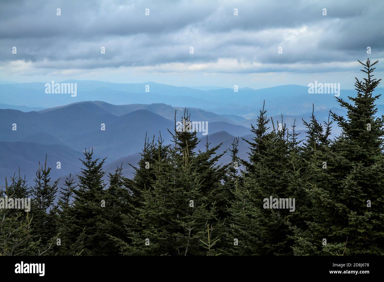 Una vista delle Blue Ridge Mountains del North Carolina dalla cima del Monte Mitchell, la vetta più alta ad est del fiume Mississippi, alta 6,684 metri. Foto Stock