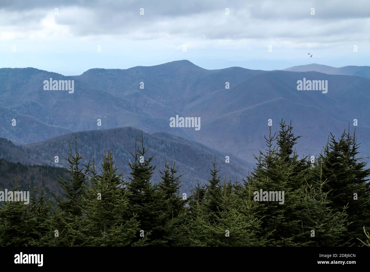 Una vista delle Blue Ridge Mountains del North Carolina dalla cima del Monte Mitchell, la vetta più alta ad est del fiume Mississippi, alta 6,684 metri. Foto Stock
