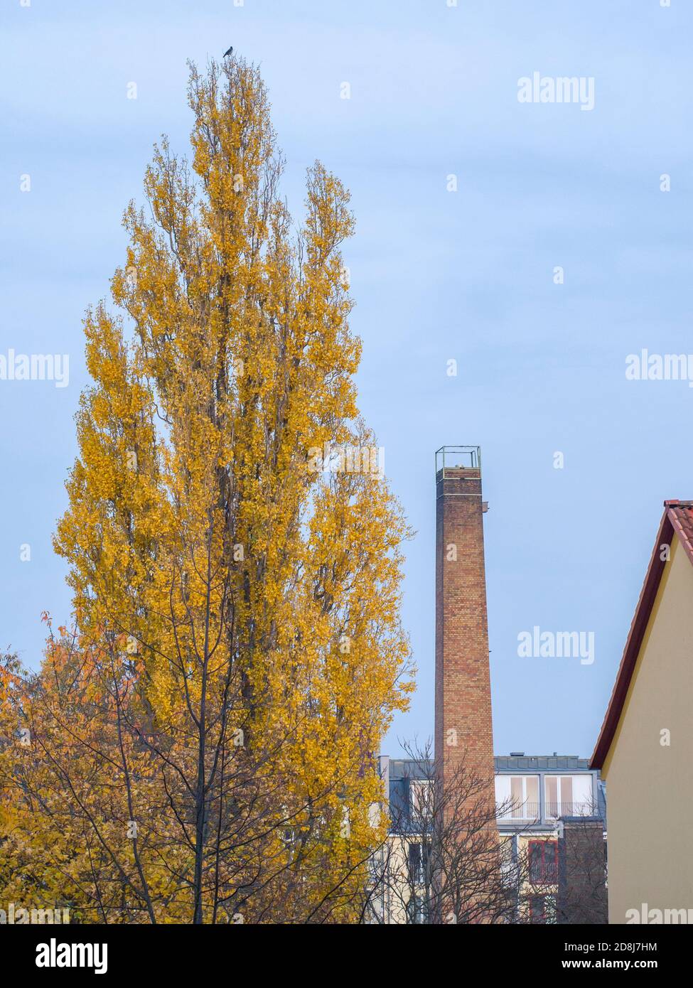 vista di prenzlauer berg, berlino Foto Stock