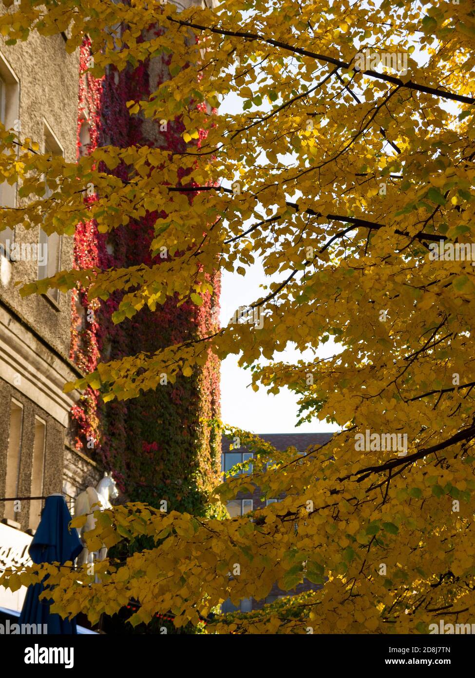 vista di prenzlauer berg, berlino Foto Stock