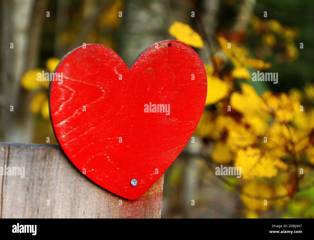 Rosso, decorazione del cuore di legno, giallo, foglie d'autunno sullo sfondo. Primo piano. Foto Stock