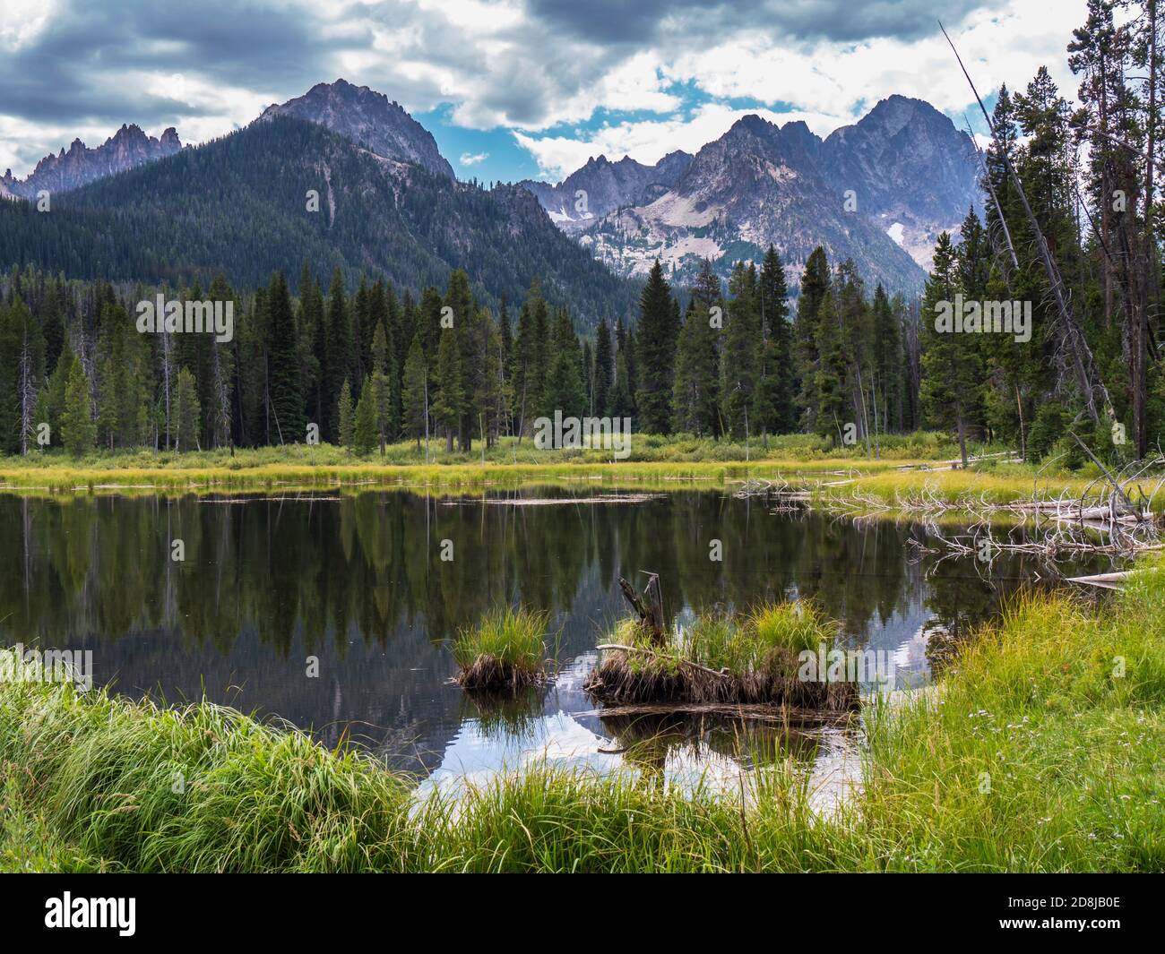 Peaks e un laghetto prato, Fishhook Creek Trail, Sawtooth National Recreational Area, Stanley, Idaho. Foto Stock