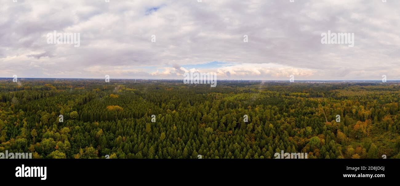 Paesaggio meraviglioso con una foresta foggosa dopo la pioggia, il giorno si trasforma in una bella vista panoramica aerea. Foto Stock