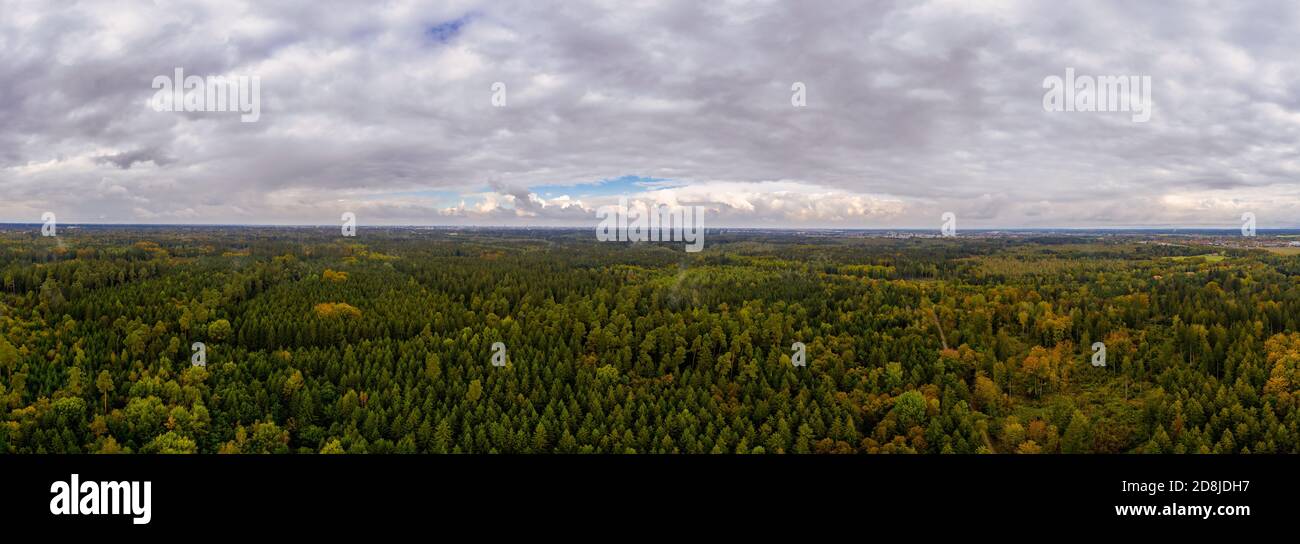 Ampia vista verde della foresta presso l'hotsport turistico bavarese monaco riconoscibile all'orizzonte. Panorama idilliaco della natura. Foto Stock