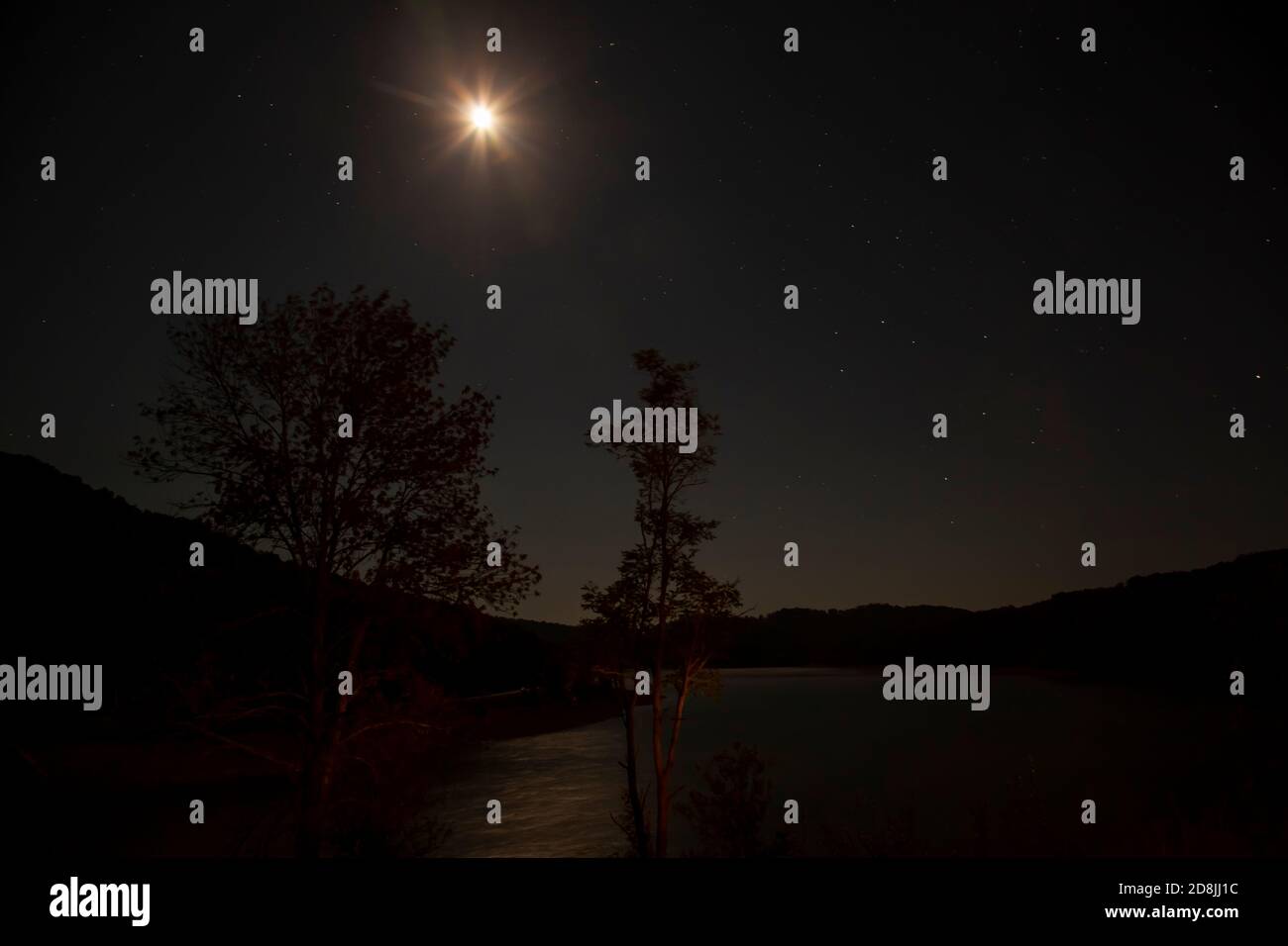 Vista di una foresta e colline sotto la luce della luna di notte. Foto Stock