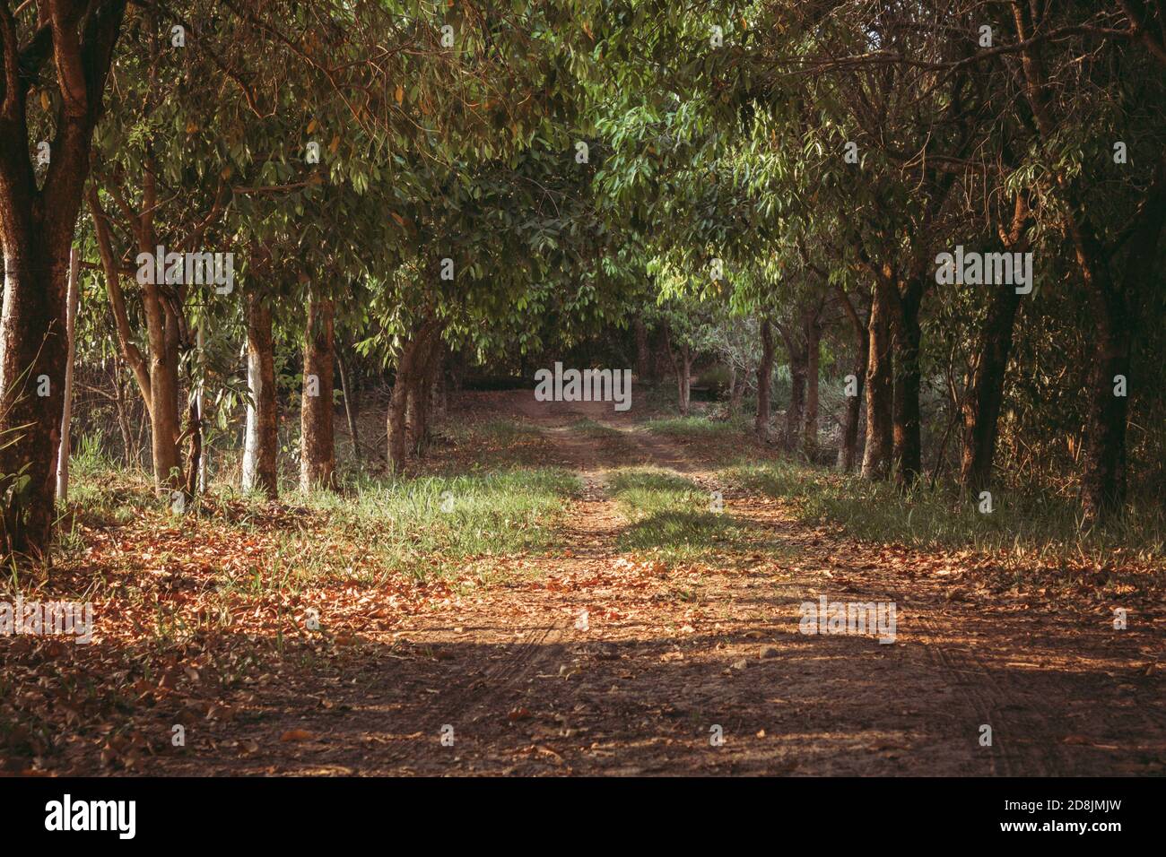 App del percorso immagini e fotografie stock ad alta risoluzione - Alamy