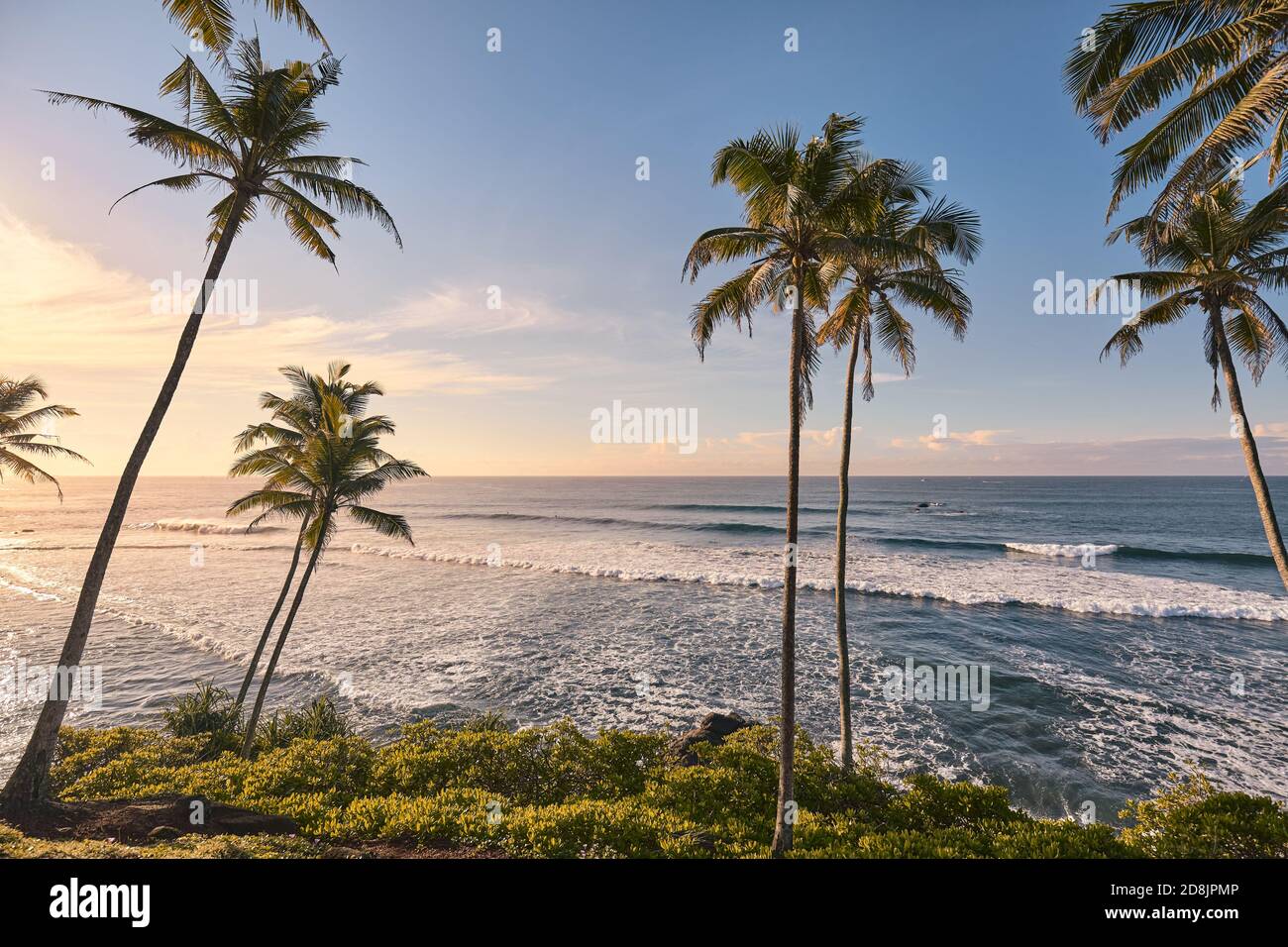 Spiaggia tropicale con palme da cocco al tramonto. Foto Stock