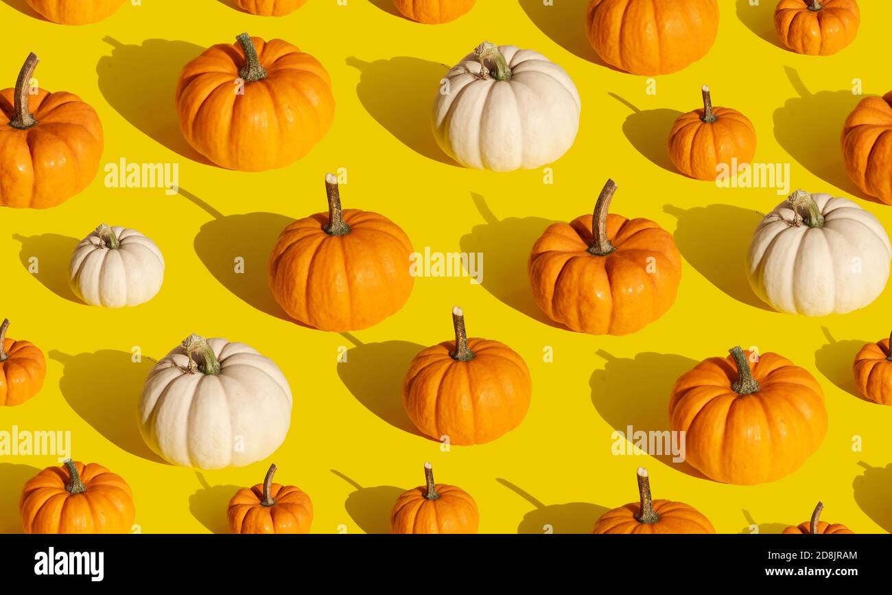 Zucca bianca e arancione senza cuciture Foto Stock