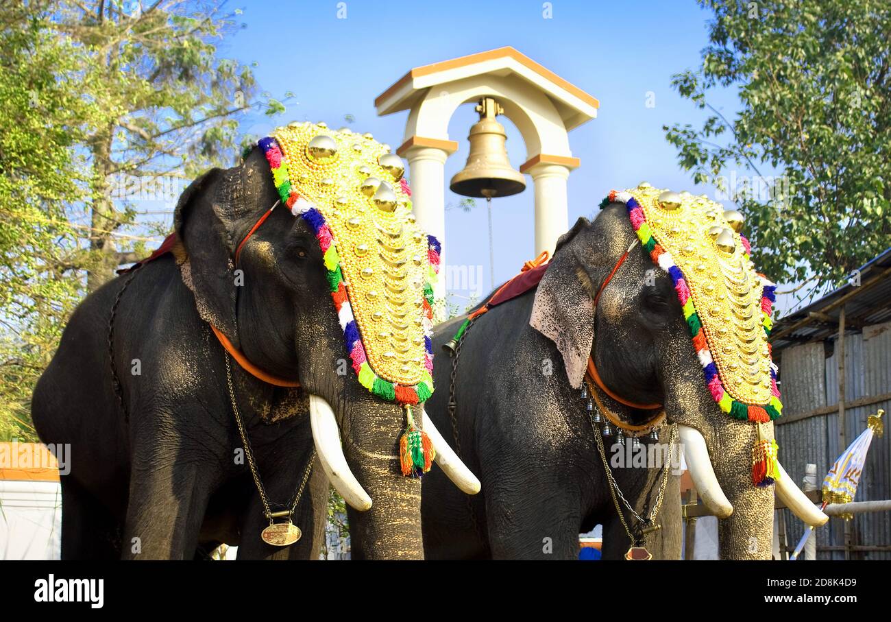Due elefanti del festival indiano Foto Stock
