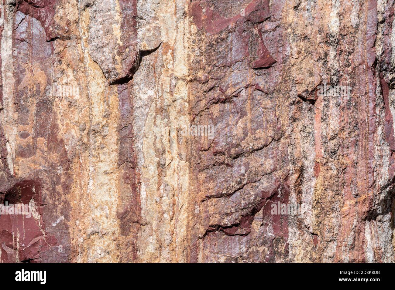 Roccia metamorfica precambriana, regione del Lago superiore, W. penisola superiore Michigan, USA, 4.5 a 5 miliardi di anni, di Dominique Braud/Dembinsky Foto A Foto Stock