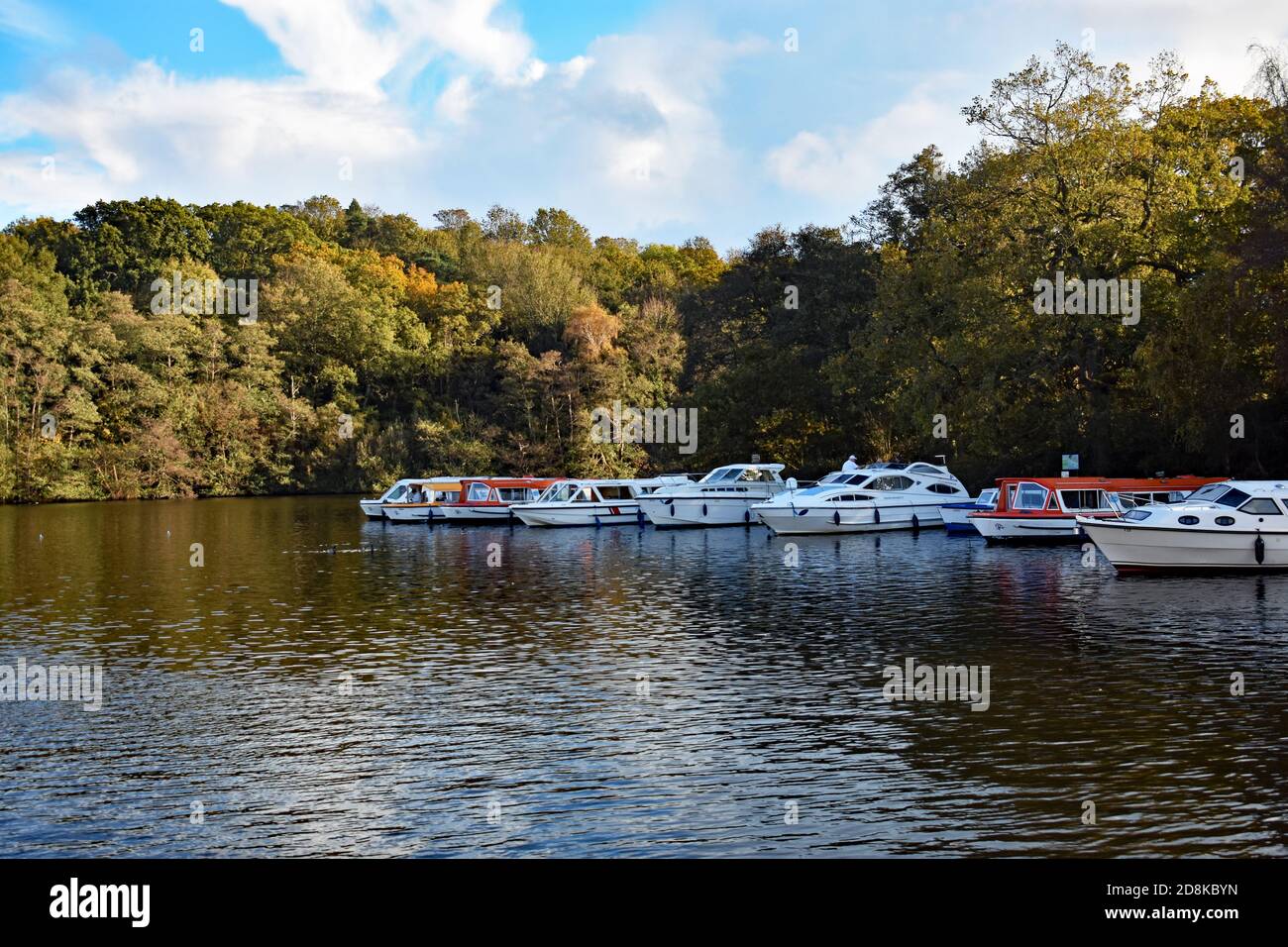 Barche ormeggiate sul bordo della Salhouse Broad alberata nel Broads National Park, Norfolk, Regno Unito. Il profilo dell'albero si riflette sull'acqua. Foto Stock