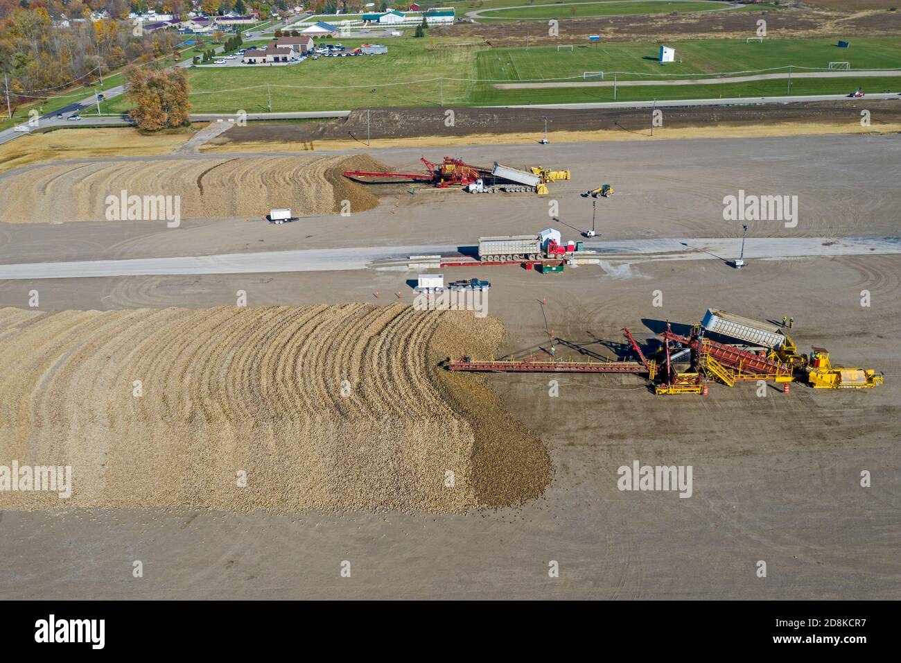 Croswell, Michigan - le barbabietole da zucchero vengono accumulate dopo la raccolta in autunno, in attesa di lavorazione presso la Michigan Sugar Company. L'azienda è un'azienda agricola Foto Stock