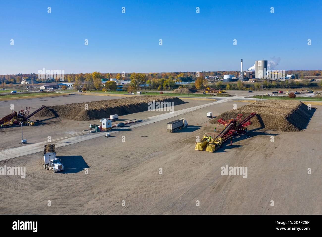 Croswell, Michigan - le barbabietole da zucchero vengono accumulate dopo la raccolta in autunno, in attesa di lavorazione presso la Michigan Sugar Company. L'azienda è un'azienda agricola Foto Stock