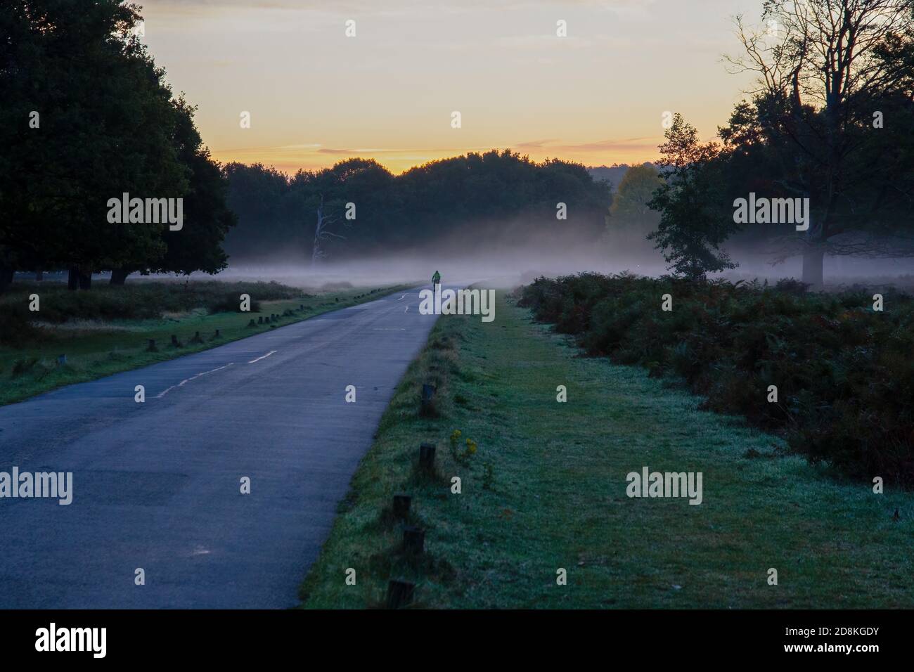 Ciclisti che cavalcano attraverso la nebbia all'alba, nel Richmond Park, Surrey, Inghilterra Foto Stock