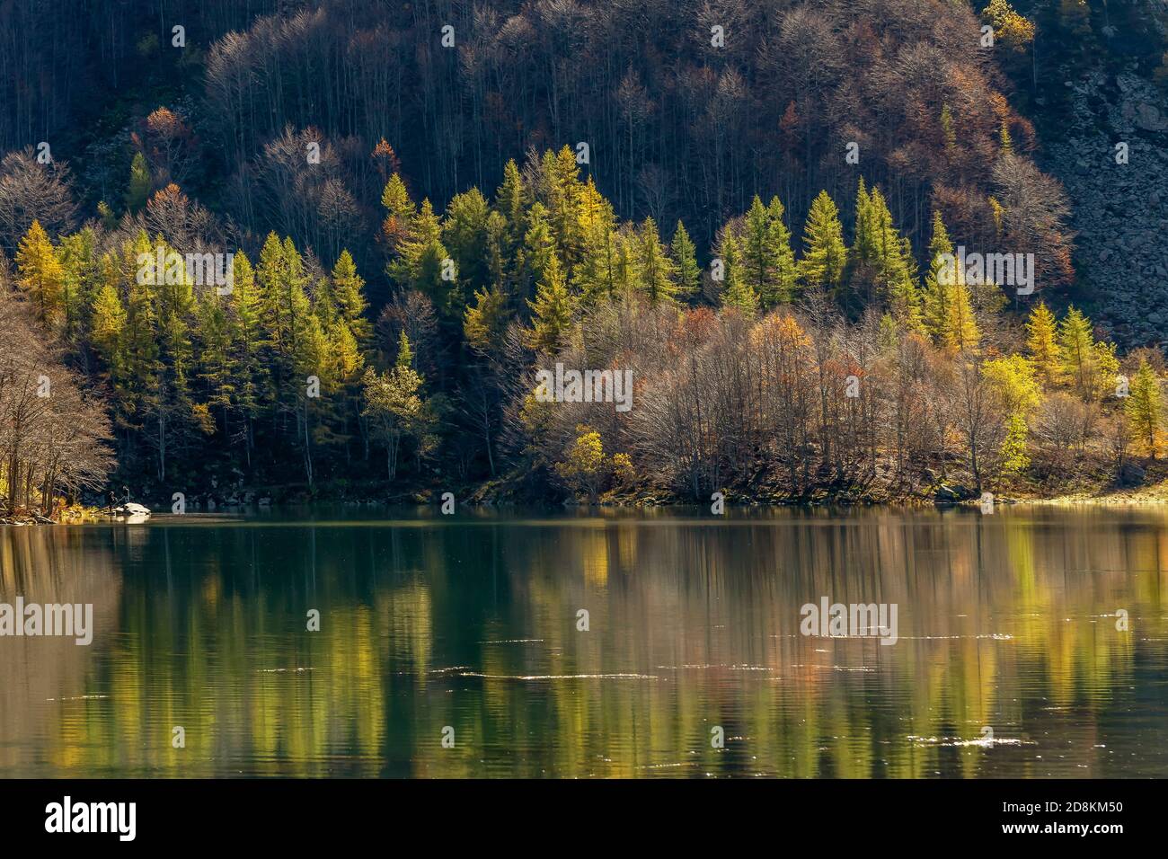 Riflessi del fogliame autunnale nelle acque fertose del Lago Santo Modenese, Emilia Romagna, Italia Foto Stock
