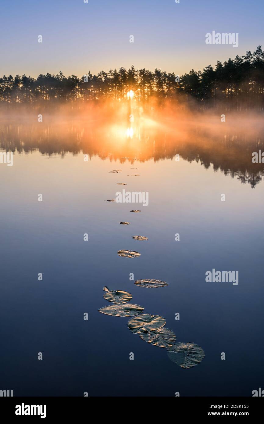 Paesaggio naturale panoramico con nebbia d'atmosfera e splendida alba Mattina presto estate in Finlandia lago Foto Stock
