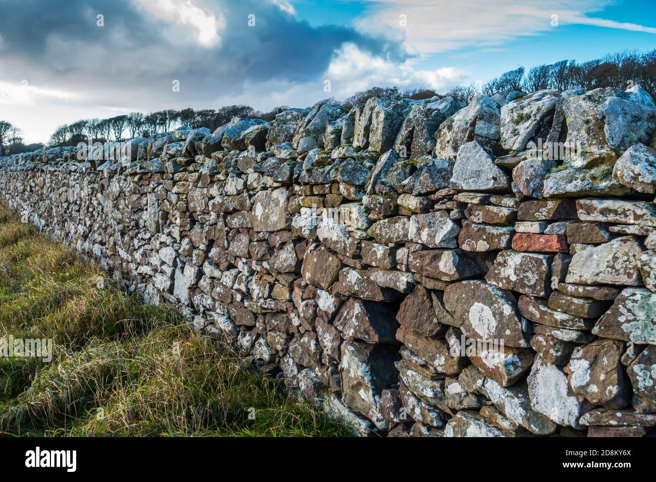 Muro di pietra arenaria, o dyke, costruito tradizionalmente in Scozia Foto Stock