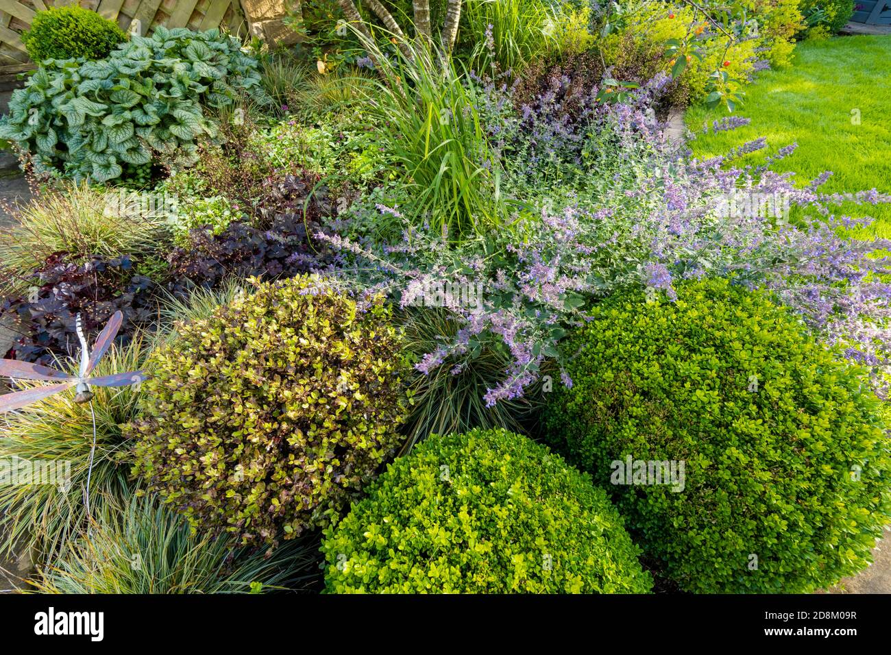 Giardino privato paesaggistico primo piano (fiori estivi, fogliame colorato, piante di confine miste, palloni da box, paletto ornamentale, prato) - Yorkshire, Inghilterra Regno Unito Foto Stock
